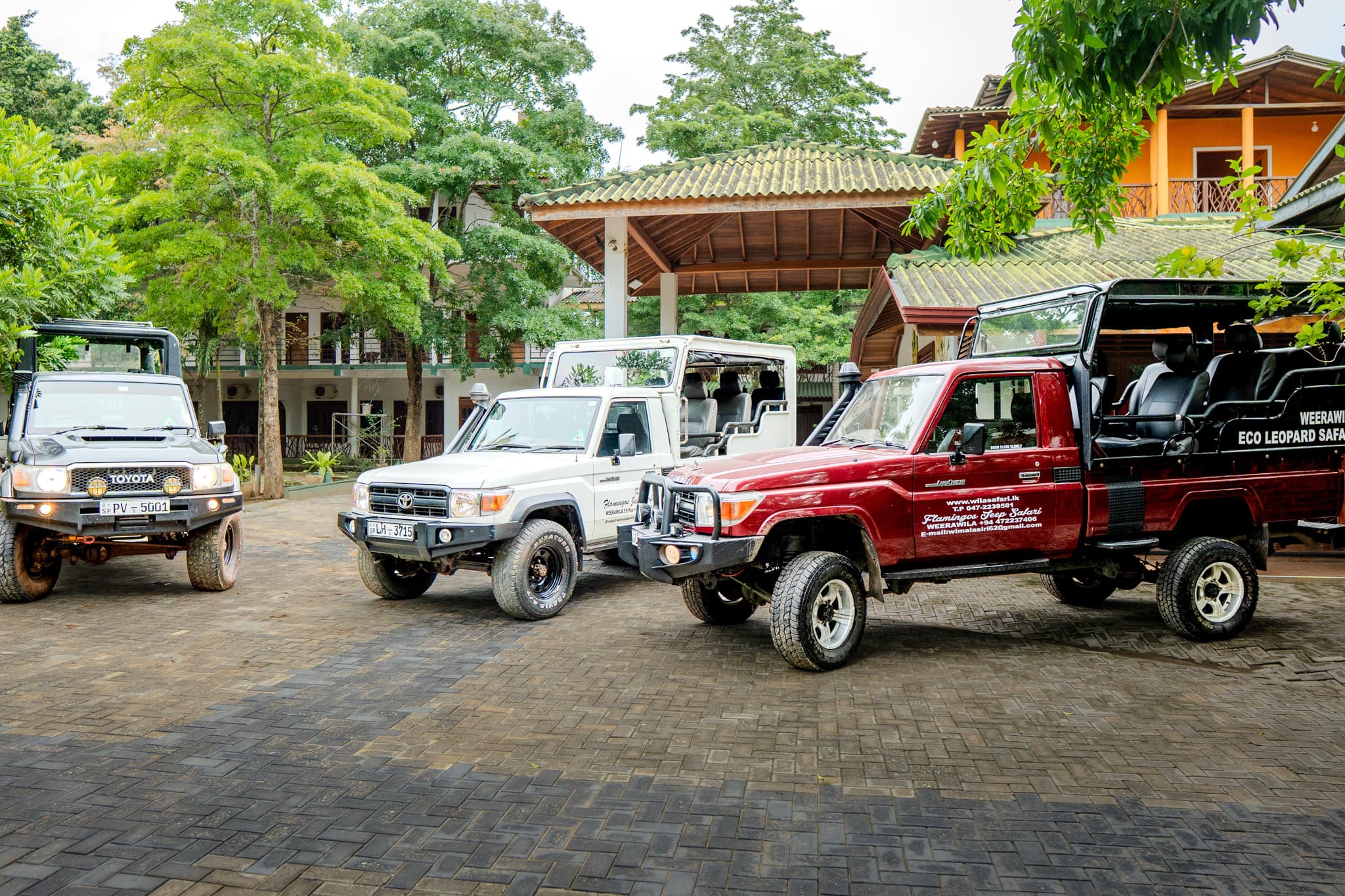 Private safari jeeps ready for a wildlife tour